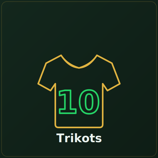 Trikots Kategorie Icon